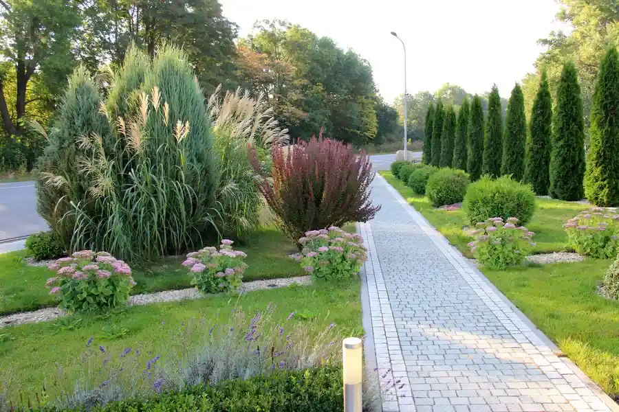 Experienced Landscape Maintenance Lewisville, TX Experienced Landscape Maintenance Lewisville, TX