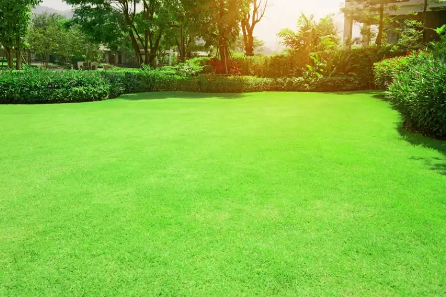 How Proper Maintenance Enhances The Lifespan Of Your Landscape Lewisville, TX