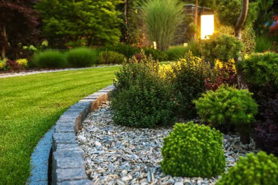 How To Keep Your Landscape Healthy During Extreme Weather Lewisville, TX How To Keep Your Landscape Healthy During Extreme Weather Lewisville, TX