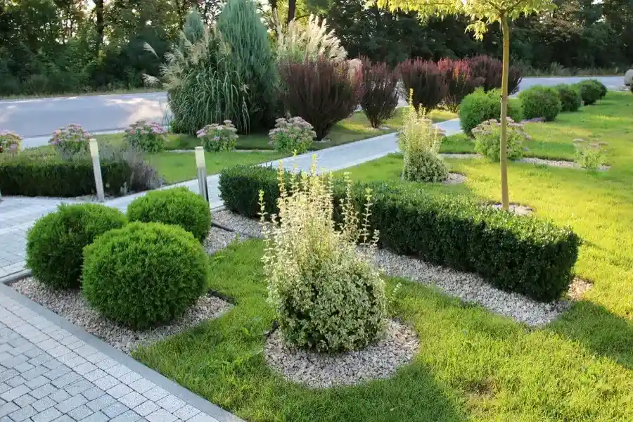 How To Keep Your Landscape Healthy During Extreme Weather in Lewisville, TX How To Keep Your Landscape Healthy During Extreme Weather in Lewisville, TX