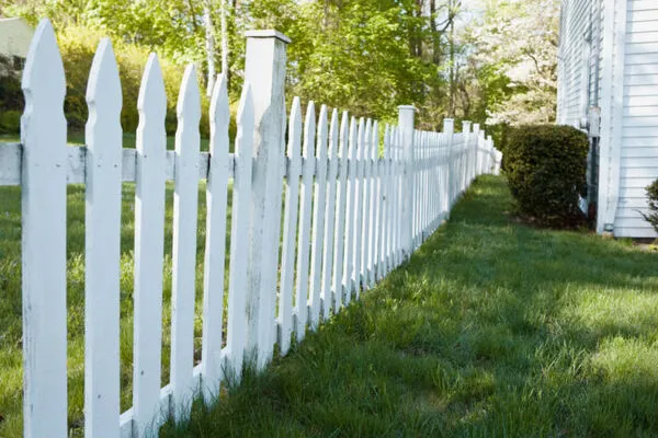 Professional Landscape Services