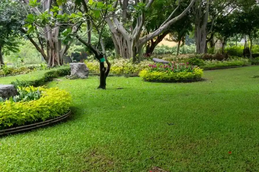 Quality Landscape Maintenance Lewisville, TX Quality Landscape Maintenance Lewisville, TX