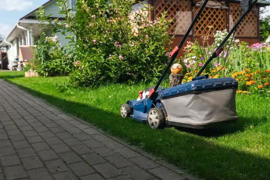 Top-rated Landscape Maintenance Lewisville, TX Top-rated Landscape Maintenance Lewisville, TX